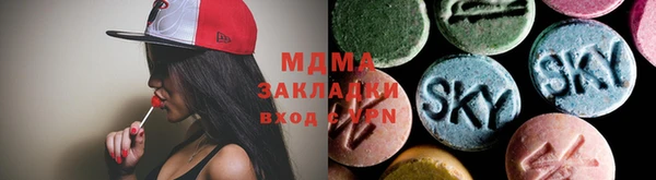 индика Мегион