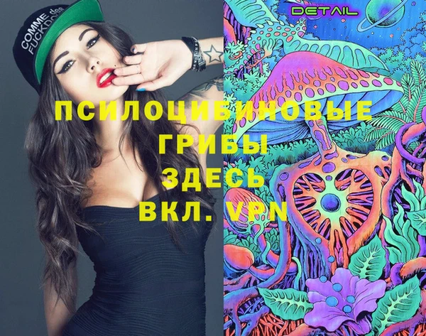 МДПВ Магас