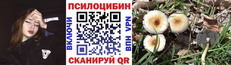 Псилоцибиновые грибы Psilocybine cubensis  продажа наркотиков  Малгобек 